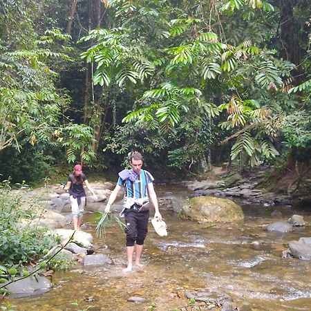 Pongo Guest House & Jungle Trekking Bukit Lawang Dış mekan fotoğraf