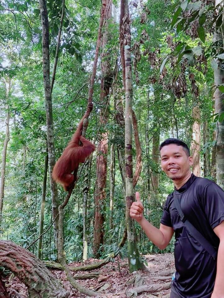 Pongo Guest House & Jungle Trekking Bukit Lawang Dış mekan fotoğraf
