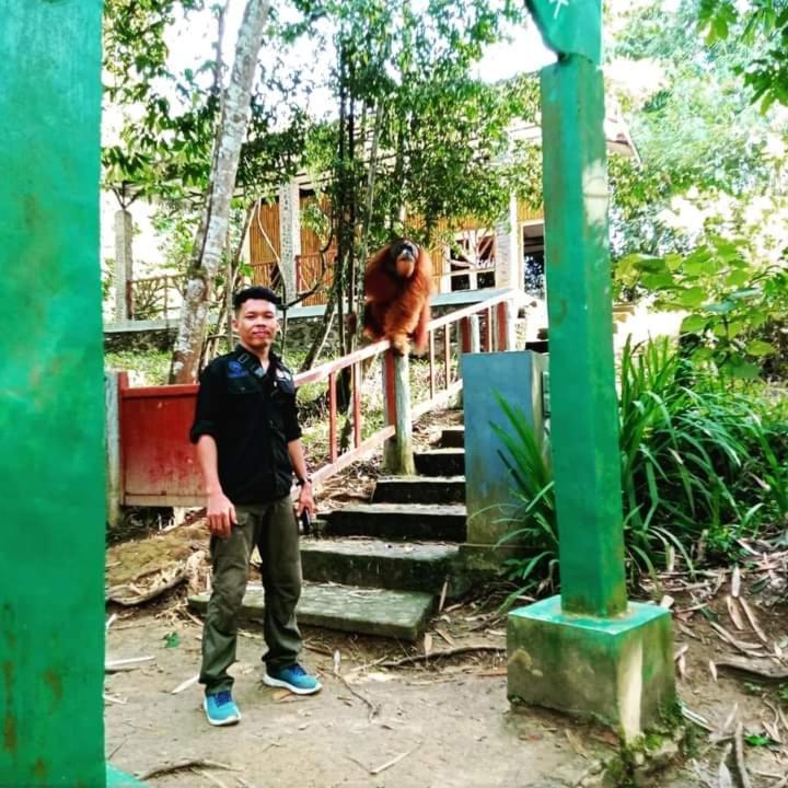 Pongo Guest House & Jungle Trekking Bukit Lawang Dış mekan fotoğraf