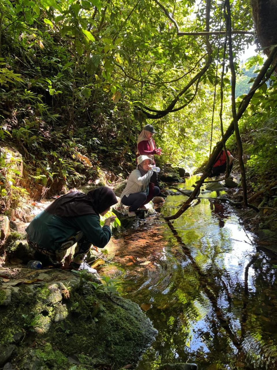 Pongo Guest House & Jungle Trekking Bukit Lawang Dış mekan fotoğraf