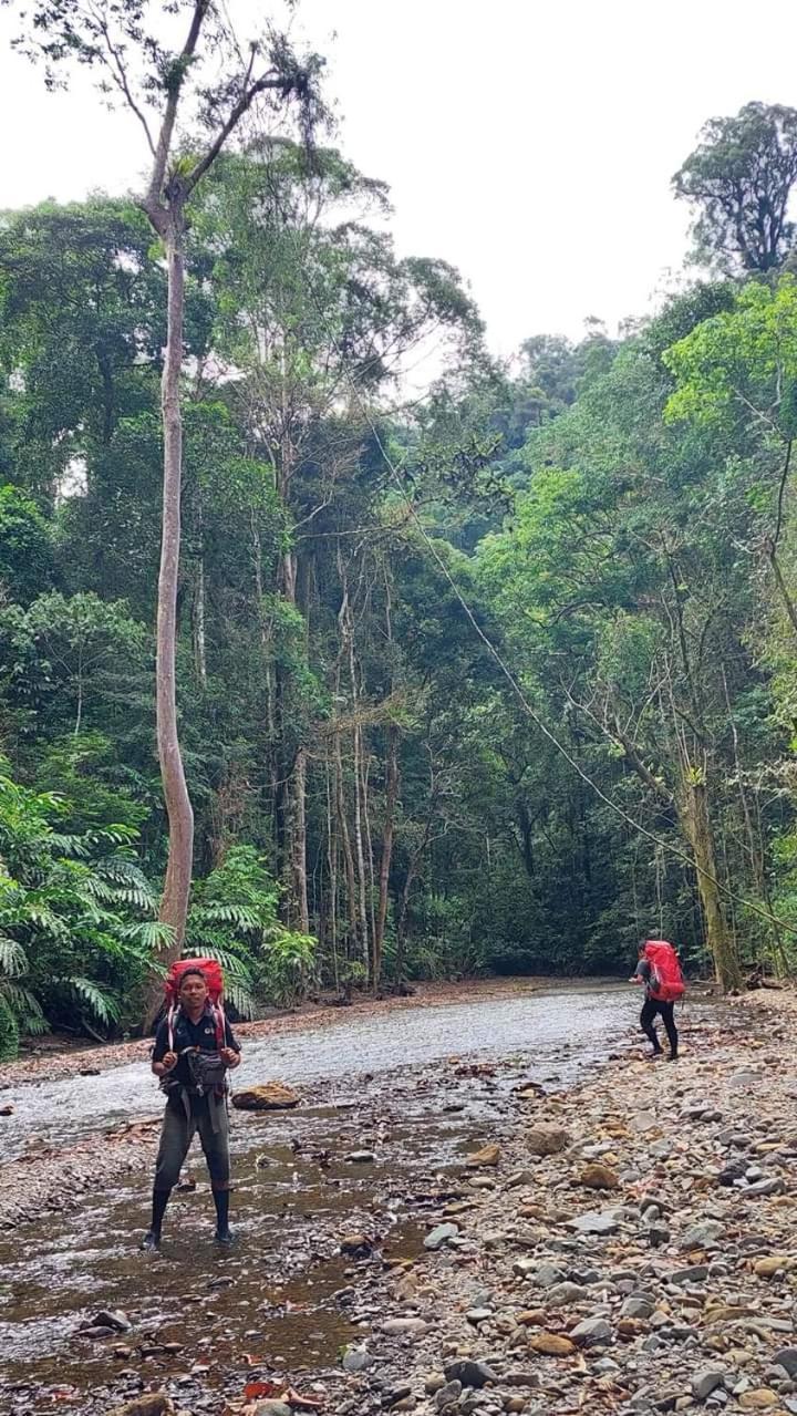 Pongo Guest House & Jungle Trekking Bukit Lawang Dış mekan fotoğraf