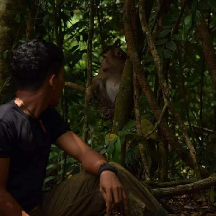 Pongo Guest House & Jungle Trekking Bukit Lawang Dış mekan fotoğraf