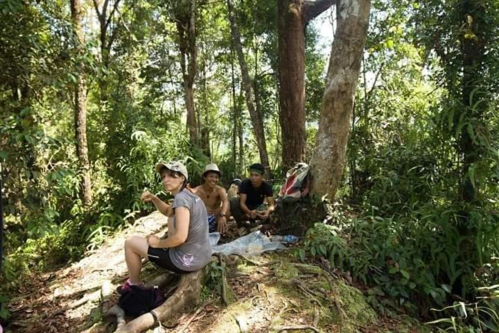 Pongo Guest House & Jungle Trekking Bukit Lawang Dış mekan fotoğraf