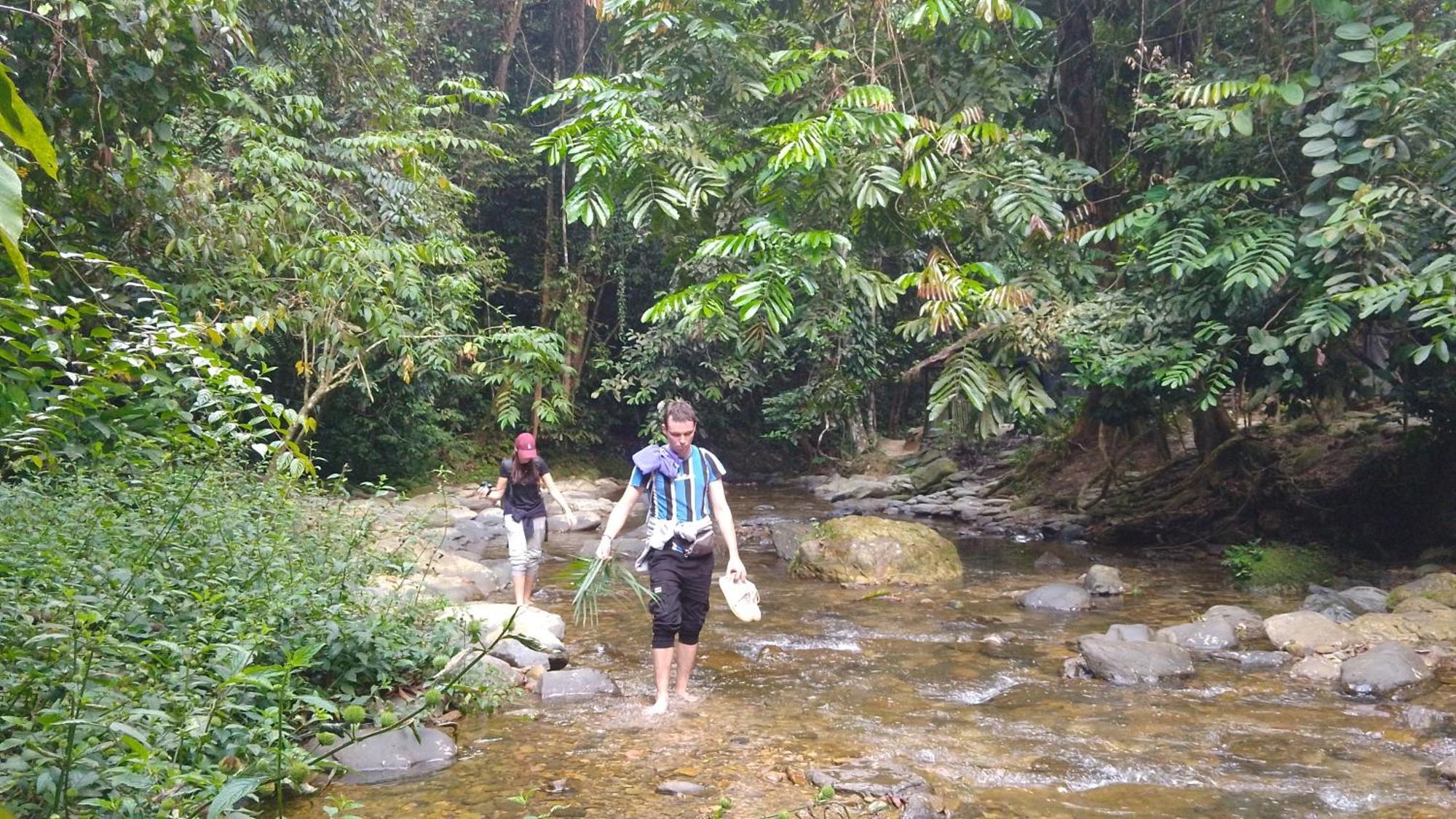 Pongo Guest House & Jungle Trekking Bukit Lawang Dış mekan fotoğraf